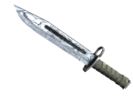 ★ StatTrak™ Bayonet
