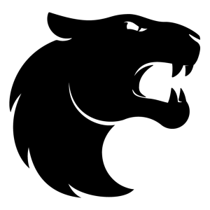 FURIA Esports