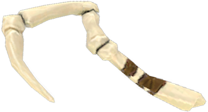 Dragonclaw Hook
